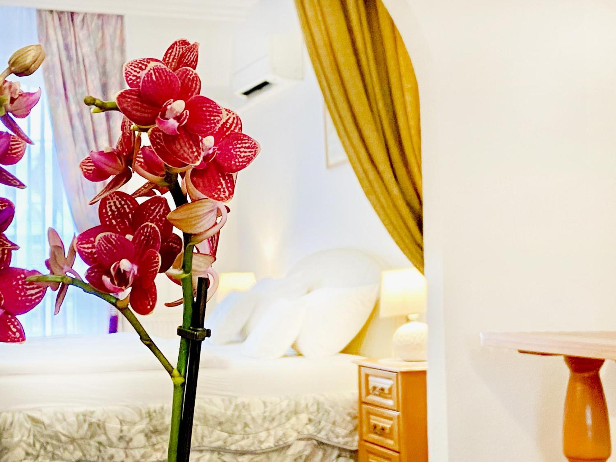 Hotel Wesselenyi غيور المظهر الخارجي الصورة