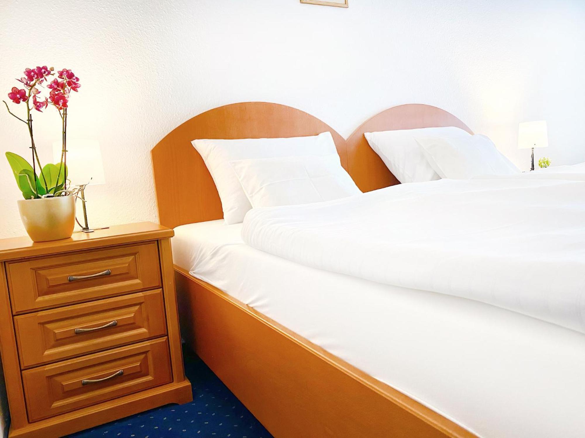 Hotel Wesselenyi غيور المظهر الخارجي الصورة